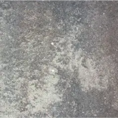 Antyk